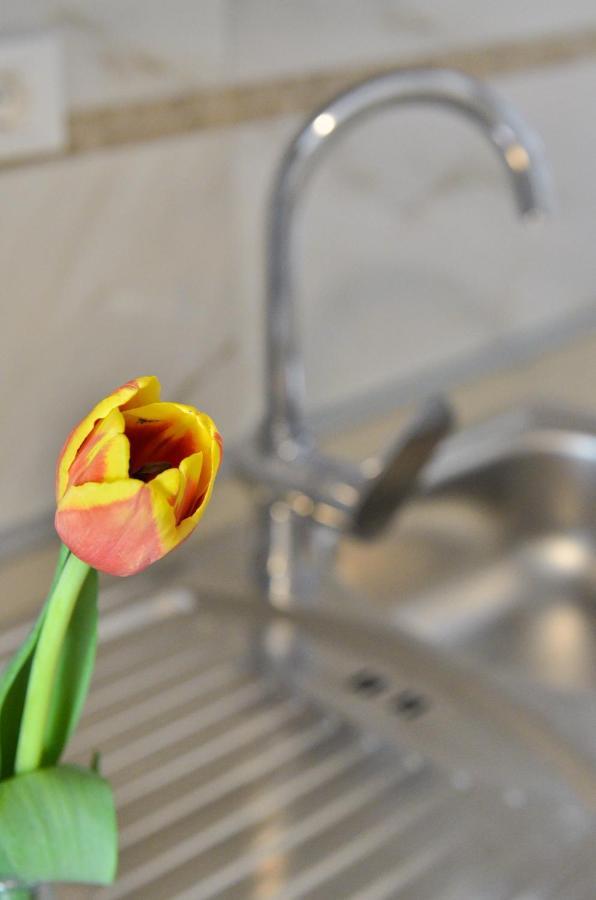 Apartmani Peric 1 Meka Draga 오브로박 외부 사진